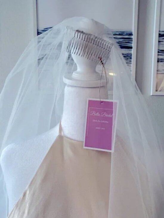 Plain Cathedral Wedding Veil with Long Blusher main image 6